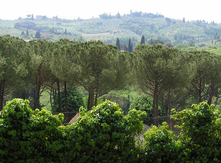 Hills of Tuscany Italy